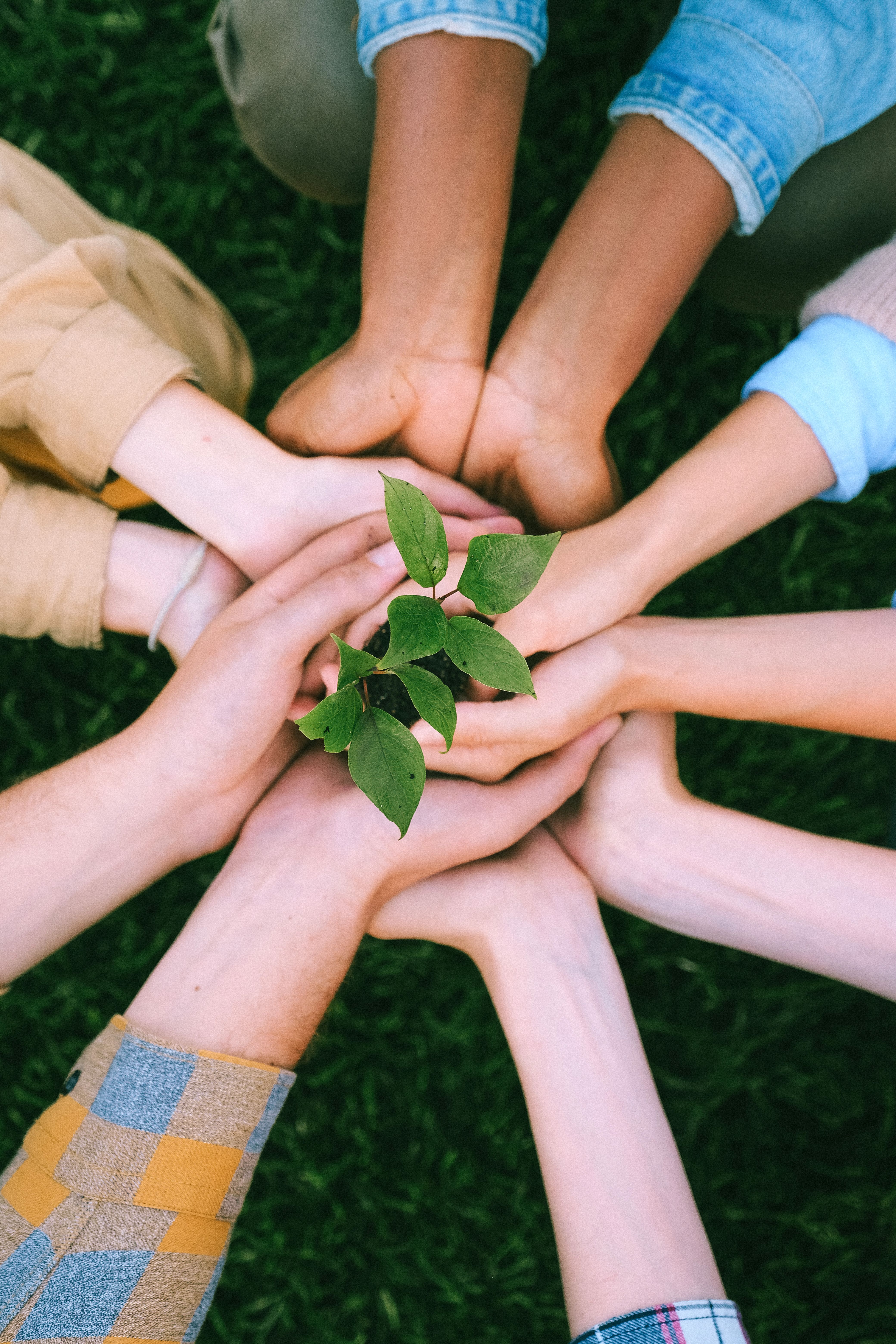 CSR Initiatives